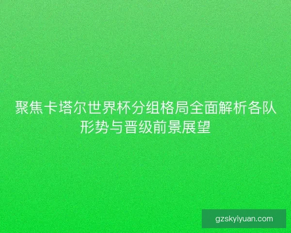 聚焦卡塔尔世界杯分组格局全面解析各队形势与晋级前景展望